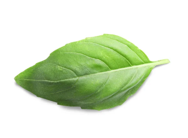 Aromatic Green Basil Leaf Isolated White Fresh Herb —  Fotos de Stock