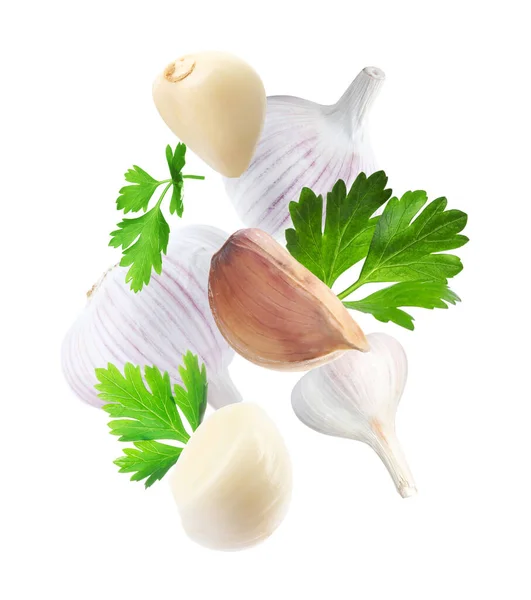 Aromatic Garlic Parsley Flying White Background —  Fotos de Stock