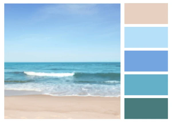 Color Palette Appropriate Photo Beautiful Sea Sandy Beach Sunny Day — Stock Photo, Image