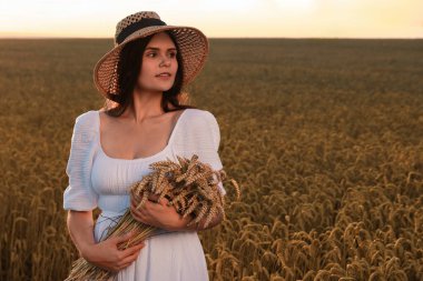Beautiful young woman with bunch of wheat ears in field, space for text