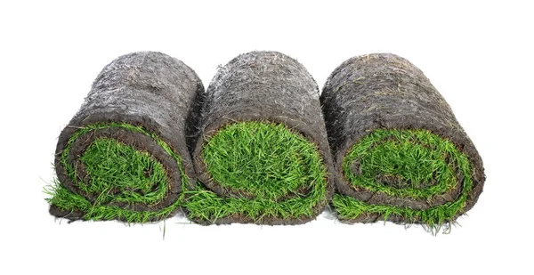 Rolls Grass Sod White Background — Stock Photo, Image