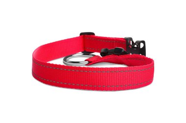 New textile dog collar isolated on white