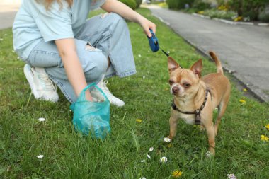 Parktaki yeşil çimlerden köpeğinin kakasını toplayan kadın, yakın plan.