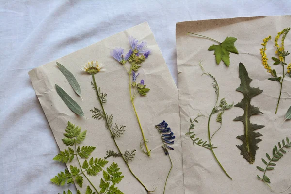 Sheets Paper Dried Flowers Leaves White Fabric Flat Lay — Fotografia de Stock