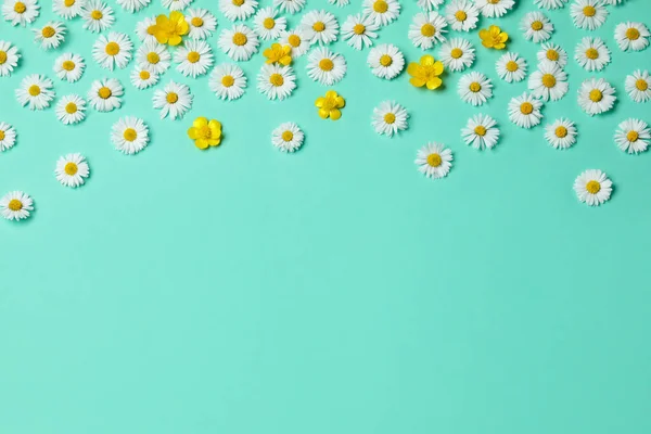 Many Beautiful Flowers Light Blue Background Flat Lay Space Text — Foto de Stock