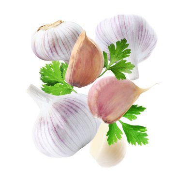Aromatic garlic and parsley flying on white background