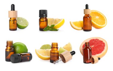 Set with bottles of different citrus essential oils and fresh fruits on white background