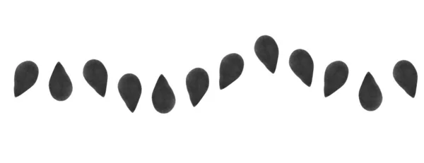 Комплект Черными Семенами Белом Фоне Вид Сверху Баннерный Дизайн — стоковое фото