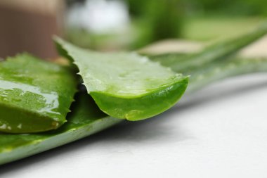 Taze kesilmiş sulu aloe vera yaprakları beyaz masada, yakın plan.