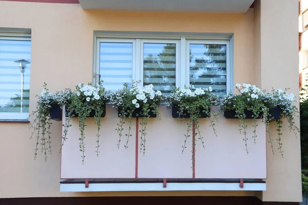 Μπαλκόνι Διακοσμημένο Όμορφα Ανθισμένα Φυτά — Φωτογραφία Αρχείου