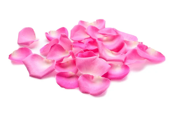 Many Pink Rose Petals White Background — Fotografia de Stock