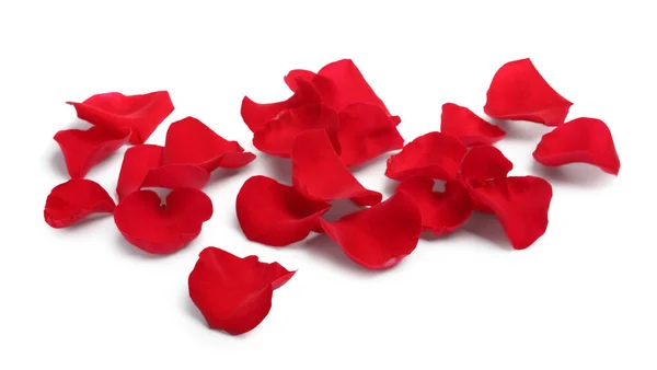 Many Red Rose Petals White Background — 图库照片