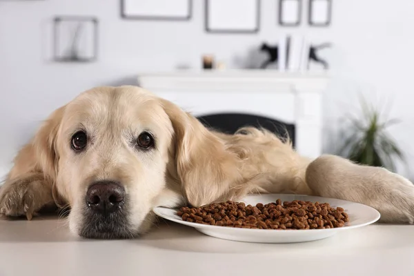 Χαριτωμένο Retriever Βρίσκεται Στο Λευκό Τραπέζι Κοντά Μπολ Των Τροφίμων — Φωτογραφία Αρχείου