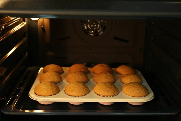 Baking pan with cupcakes in modern oven