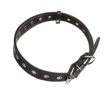 Black leather dog collar isolated on white
