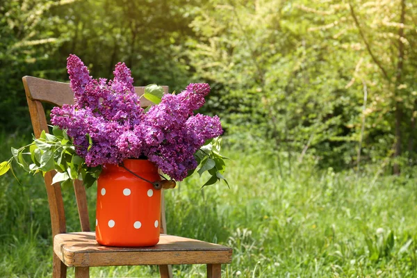 Beautiful Lilac Flowers Milk Can Outdoors Space Text — стоковое фото