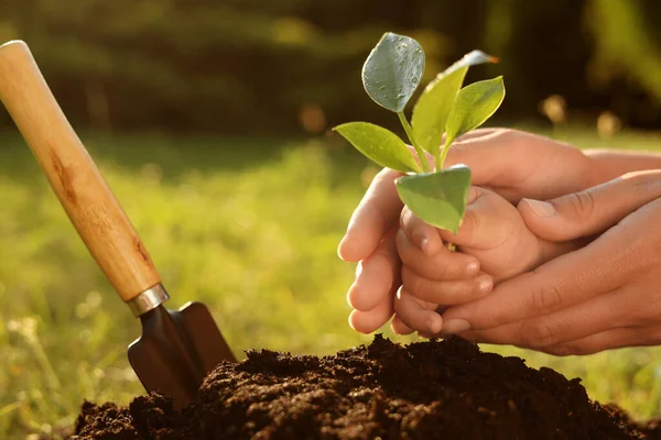 Mother Her Child Planting Tree Seedling Fertile Soil Closeup — Fotografia de Stock