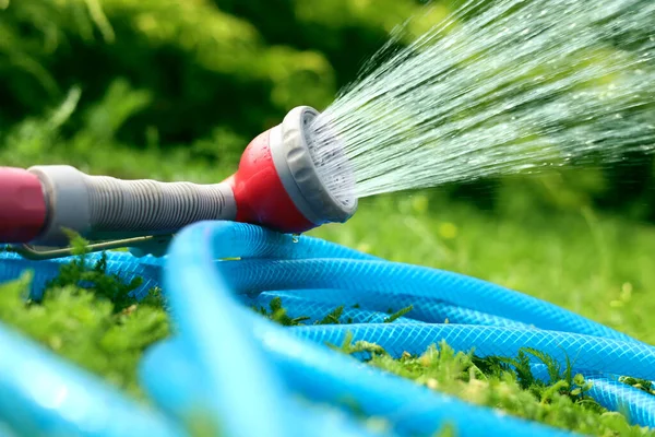 Water spraying from hose on green grass outdoors, closeup