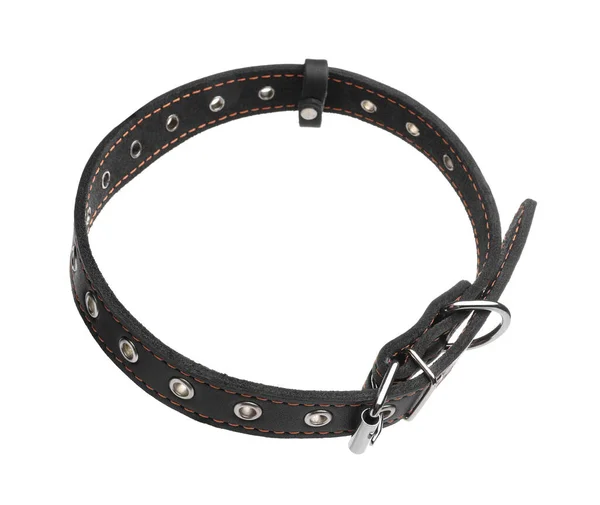 Black Leather Dog Collar Isolated White — Stockfoto