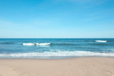 Güneşli bir günde bulanık deniz ve kumlu plaj manzarası