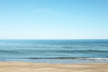 Picturesque view of sandy beach near sea