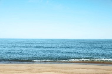 Picturesque view of sandy beach near sea