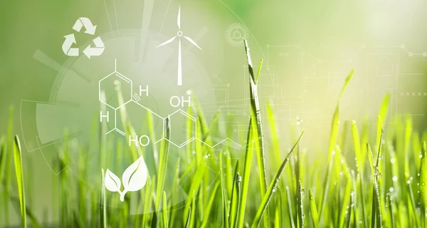 Illustration Chemical Formula Green Grass Dew Drops Blurred Background Closeup — 스톡 사진