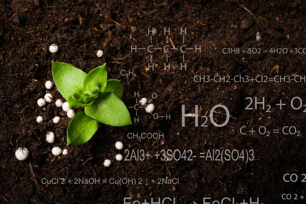 Illustration Chemical Formulas Young Seedling Growing Soil Outdoors View — Fotografia de Stock