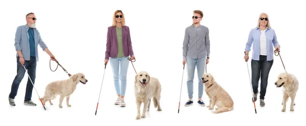 Blind People Long Canes Guide Dogs White Background Banner Design — Stockfoto