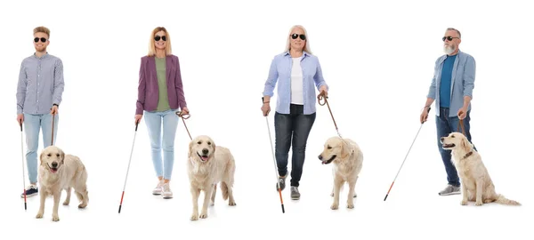 Blind People Long Canes Guide Dogs White Background Banner Design — Stok fotoğraf