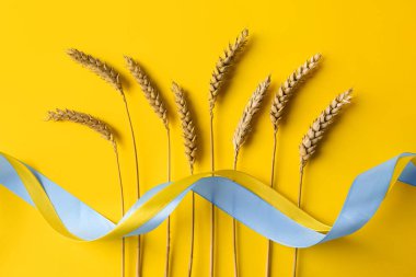 Ears of wheat and colorful ribbons on yellow background, flat lay