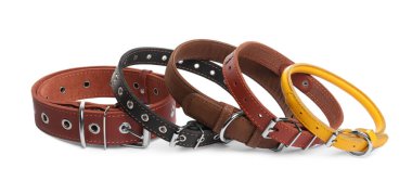 Different leather dog collars on white background