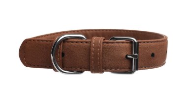 Brown leather dog collar isolated on white
