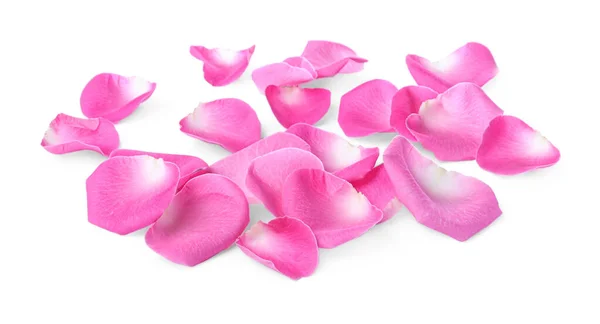 Many Pink Rose Petals White Background — Foto de Stock