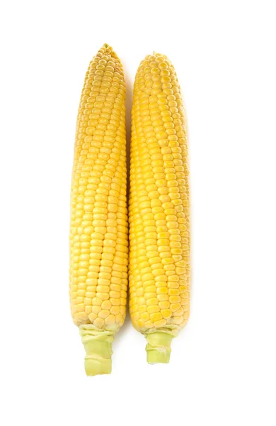 Tasty Fresh Corn Cobs Isolated White Top View — 图库照片