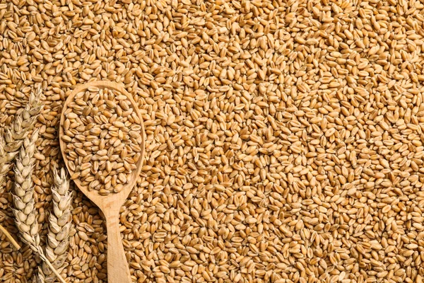 Spoon Spikelets Heap Wheat Grains Flat Lay Space Text — kuvapankkivalokuva