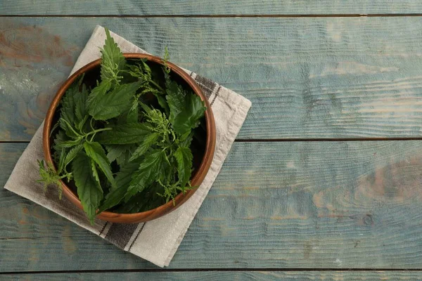 Fresh Stinging Nettle Leaves Bowl Blue Wooden Table Top View — Stockfoto