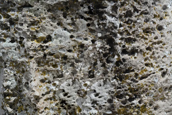Closeup View Stone Surface Background — Stock fotografie