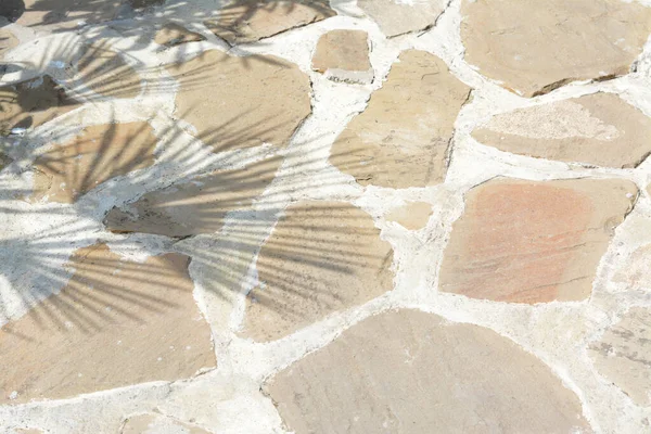 Πέτρινο Μονοπάτι Σκιά Από Φοίνικες Την Ηλιόλουστη Μέρα — Φωτογραφία Αρχείου
