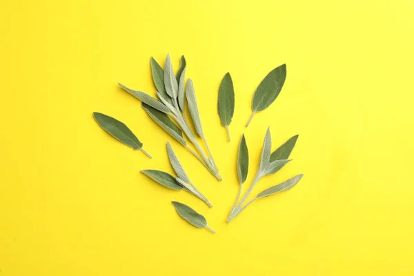 Fresh Green Sage Leaves Yellow Background Flat Lay — Photo