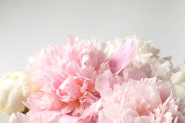 Açık arkaplanda güzel bir şakayık buketi, yakın plan.