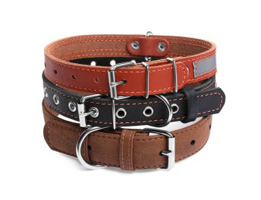 Different leather dog collars on white background