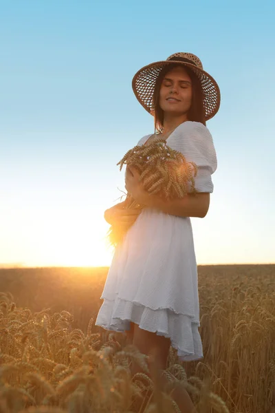 Beautiful Young Woman Bunch Wheat Ears Field Sunny Day — Stock Photo, Image