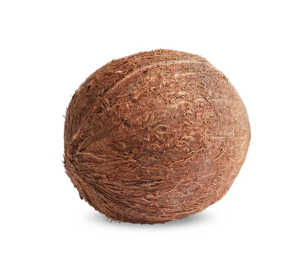 Fresh Ripe Whole Coconut Isolated White — Zdjęcie stockowe