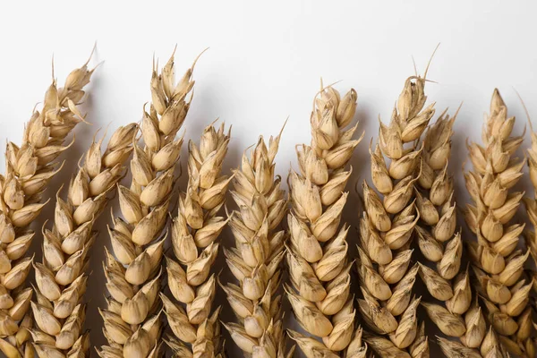 Ears Wheat White Background Flat Lay — Foto Stock