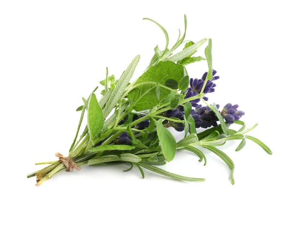 Bunch Fresh Aromatic Herbs White Background — Zdjęcie stockowe