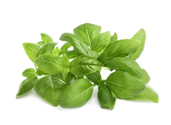 Aromatic Fresh Basil Leaves White Background — Stock Photo, Image