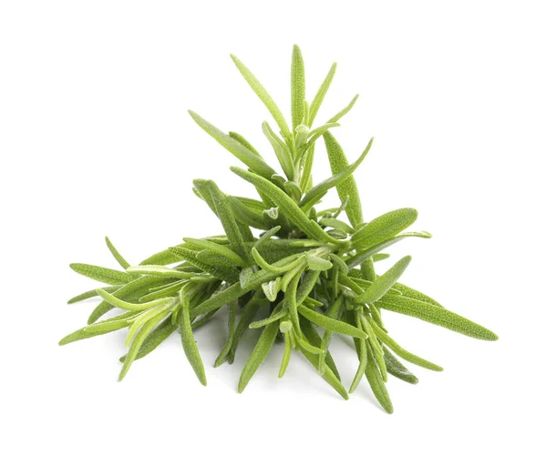 Aromatic Fresh Rosemary Leaves White Background — Stockfoto