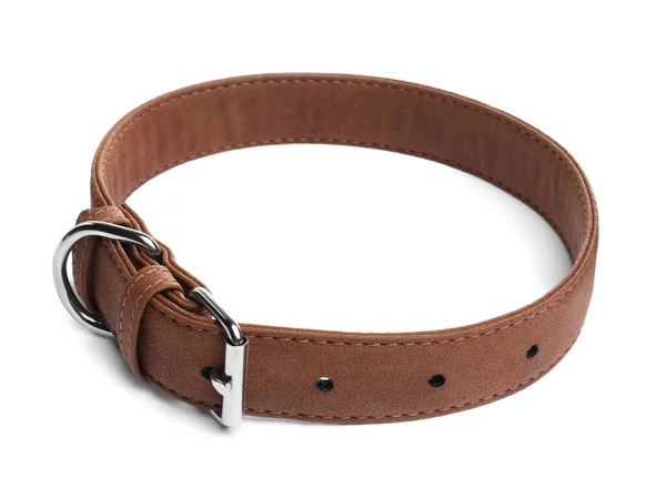 Brown Leather Dog Collar Isolated White — Stockfoto