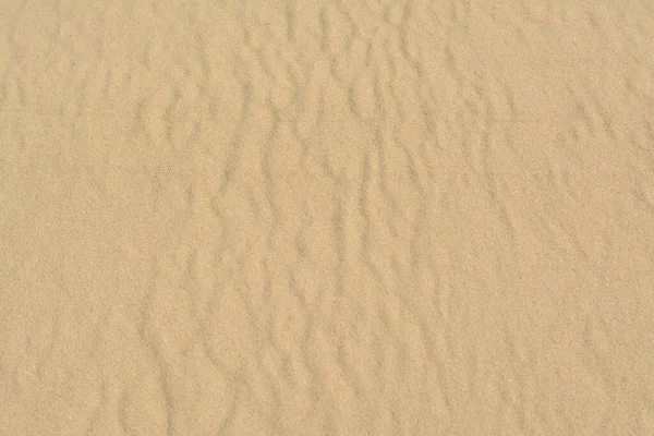 Beautiful Dry Beach Sand Background View — 图库照片